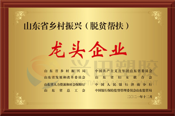山東省2021年度省級(jí)鄉(xiāng)村振興（脫貧幫扶）龍頭企業(yè)